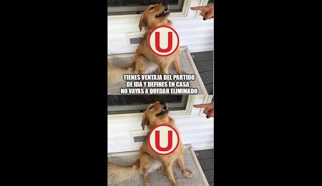 Universitario vs. Carabobo: graciosos memes inundan las redes antes del partido.