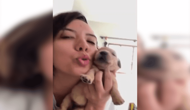 En Facebook, un cachorro de 19 días de nacido imitó los sonidos que realizó su dueña y cautivó con el resultado.