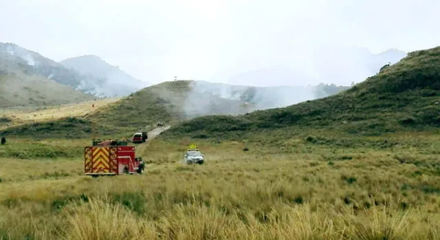 Cajamarca: Incendio devora incalculables plantaciones de pino en Granja Porcón