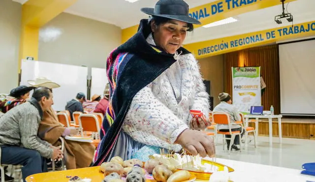 Junín: comunidades campesinas y nativas exponen proyectos para Procompite