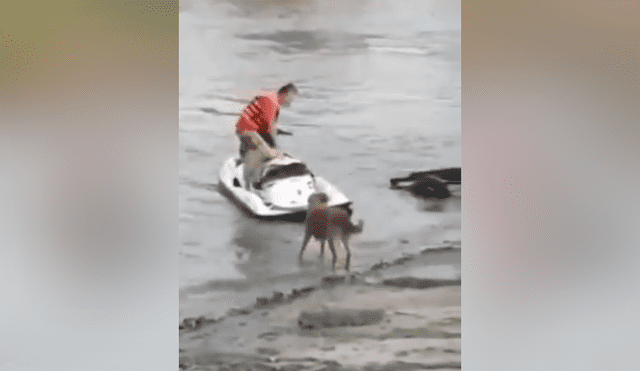 Un video viral de Facebook muestra la brutal reacción que tuvo un hombre al toparse con un pequeño perro.