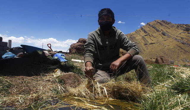 Cuenca lechera en Puno sigue siendo afectada por contaminación minera