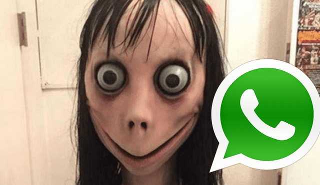 WhatsApp: Olivia, es la sucesora de 'Momo' y tenerla como contacto aterra [VIDEO]