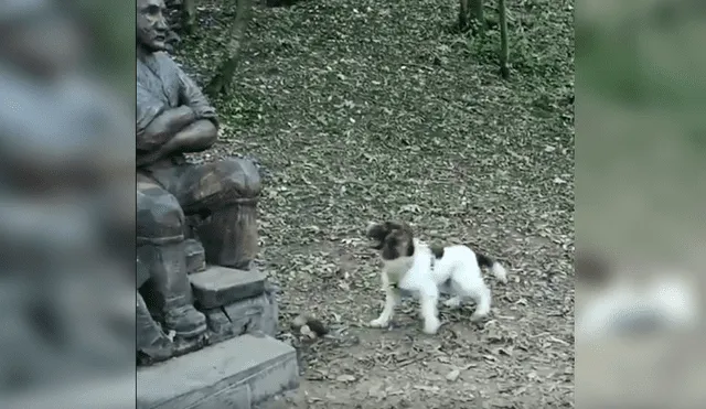 En Facebook, un tierno perro se emocionó con una estatua al creer que se trataba de su fallecido dueño.