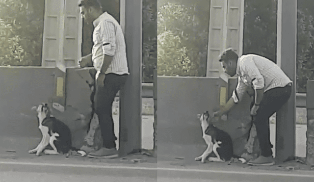 Joven realiza heroica acción para salvar a perro y se roba el corazón de miles
