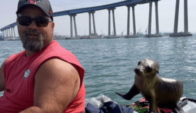 Pescador fue sorprendido por adorable animal marino que no quiso despejarse de él.