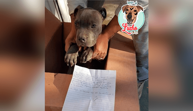El menor escribió una conmovedora carta de despedida a su perro antes de entregarlo en adopción a un refugio en México.