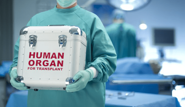 Holanda: aprueban ley para que sus ciudadanos sean donantes de órganos