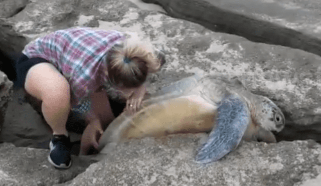 Jóvenes encuentran misteriosa criatura atrapada entre las rocas.