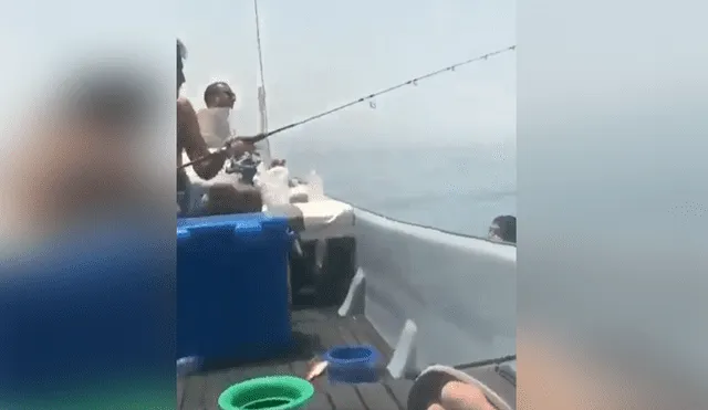 Un video muestra el instante en el que un joven se lleva el susto de su vida al ver un desconcertante ser en el agua.