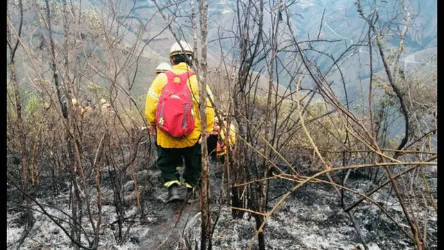 Tragedia en Amazonas: los últimos incendios forestales en Sudamérica [FOTOS Y VIDEOS]