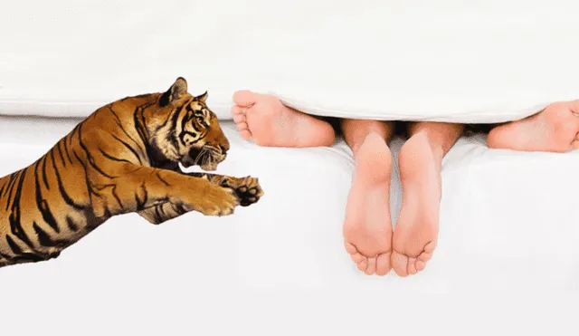 ¿Es posible realizar el salto del tigre? Foto: composición de La República/Shutterstock/StickPNG