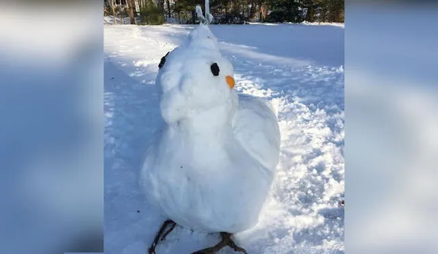 Desliza las imágenes para ver la enorme escultura de nieve que hicieron los integrantes de una familia con la apariencia de su ave. Foto: Wendell The Diva/ Instagram