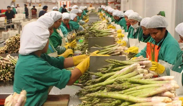 Sector agroindustria generó más de 58 mil empleos formales en el 2018