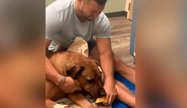 Facebook viral: famoso beisbolista se despide de su amado perro con emotiva publicación que entristece a miles
