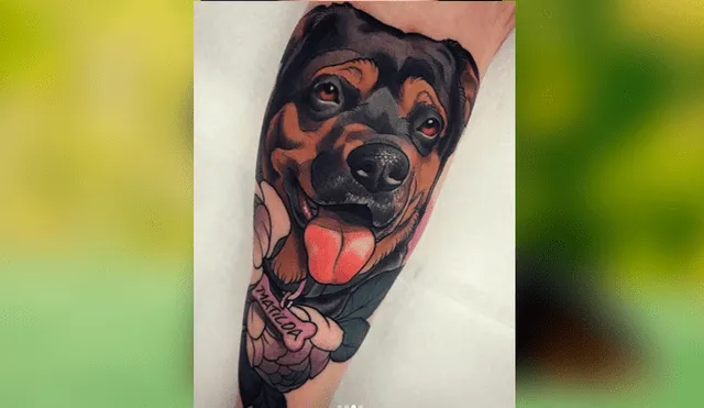 Desliza las fotografías para ver el increíble tatuaje que se hizo un joven en honor a su difunta mascota. Foto: Captura/ goksisdead