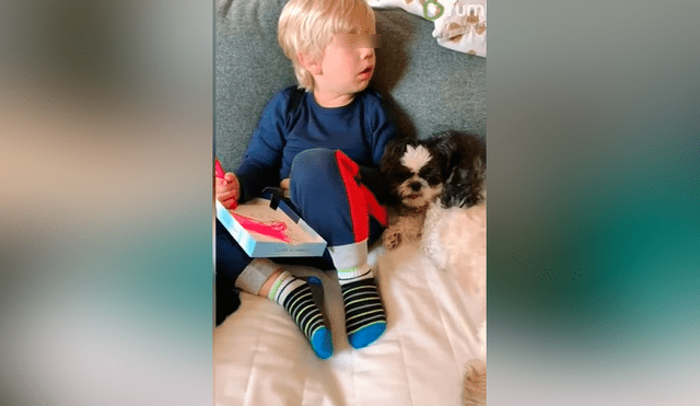 Desliza las imágenes para ver la emotiva escena que logró descubrir esta madre entre su hijo y sus mascotas. Foto: Captura/Rumble Viral