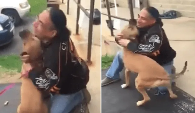Desliza hacia la izquierda para ver el conmovedor reencuentro de un perro con su amo que se ha vuelto viral en Facebook.