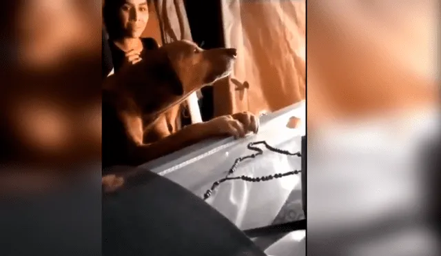 Video es viral en YouTube. El can protagonizó un desgarrador momento durante el velorio de su amo
