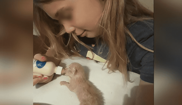 Facebook: niña fallece tras intentar rescatar a sus gatos detrás de la secadora [FOTOS]