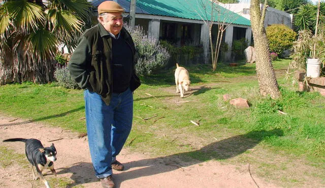 Murió "Manuela", la famosa perra de tres patas del expresidente Mujica
