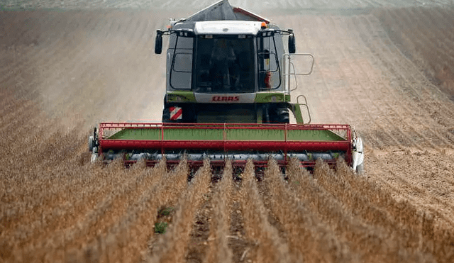 La decisión del gobierno de Argetina provocó una oleada de críticas porque ningún otro país ha autorizado este tipo de cultivos. Foto: AFP