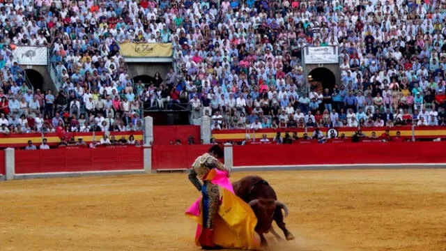 Corridas de toros dejarían de celebrarse en Ayacucho.