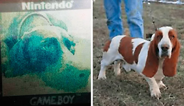El emocionado padre mostraba su preciada Game Boy a su hijo de 3 años, cuando encontró una fotografía de su mejor amigo en 1999.
