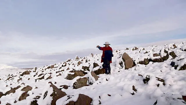 Senamhi prevé nevadas en algunas localidades de Arequipa, Cusco y Apurímac