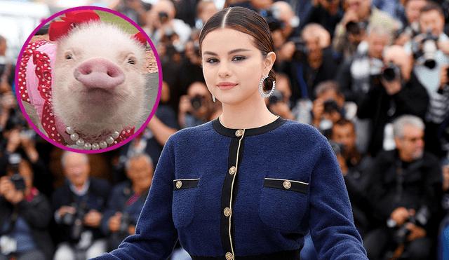 Usuarios comparan a Selena Gomez con un cerdo por aumentar de peso 