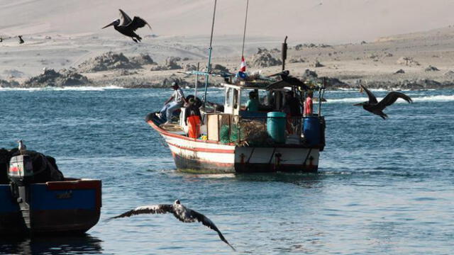 FAO advierte que pesca en el Perú tendrá menor productividad por el cambio climático