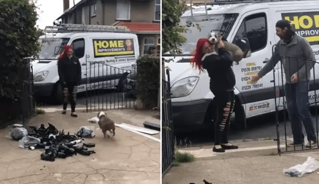 El perro se emocionó al ver a su dueños entrar a su casa e instantáneamente se abalanzó sobre ellos. Foto: YouTube.