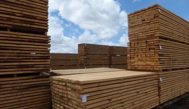 La industria de la madera ve con esperanza el plan de reconstrucción del país