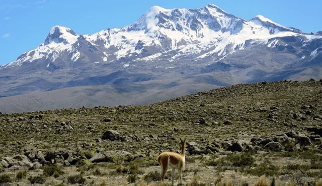 IGP vigilará otro volcán de Arequipa por actividad sísmica