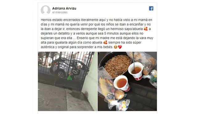 A través de Facebook se hizo viral la historia de esta abuela, quien se disfrazó para ir a visitar a su familia en plena cuarentena.