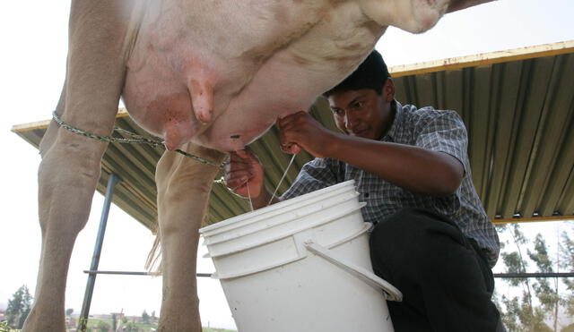 Se rompe el monopolio de la leche: los ganaderos la venderán directamente