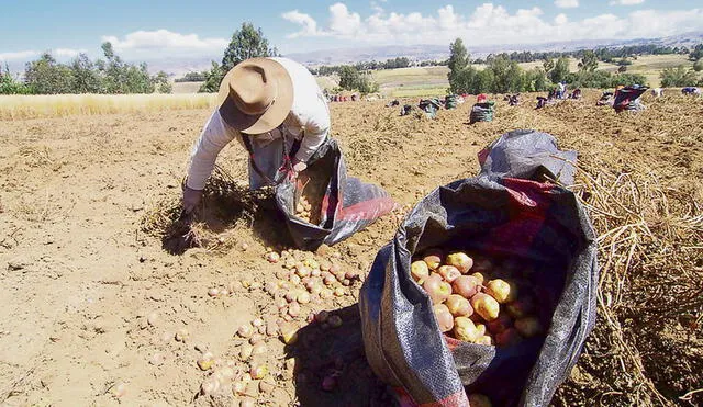 Crítico. Sin reglamento, ley de cooperativas es letra muerta. Foto: difusión