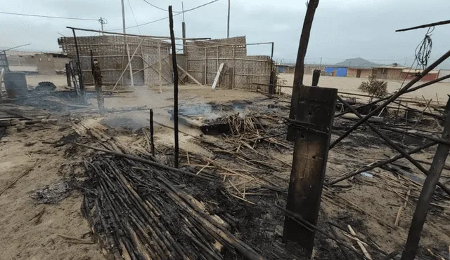 Nuevo Chimbote: desconocidos incendian 19 ranchos en Villa Municipal 
