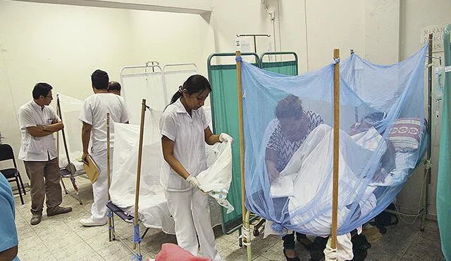 Salud confirma dos muertes maternas por causa del dengue en Piura