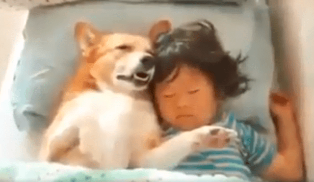 Desliza las imágenes hacia la izquierda para apreciar la emotiva escena entre una niña junto a su perro.