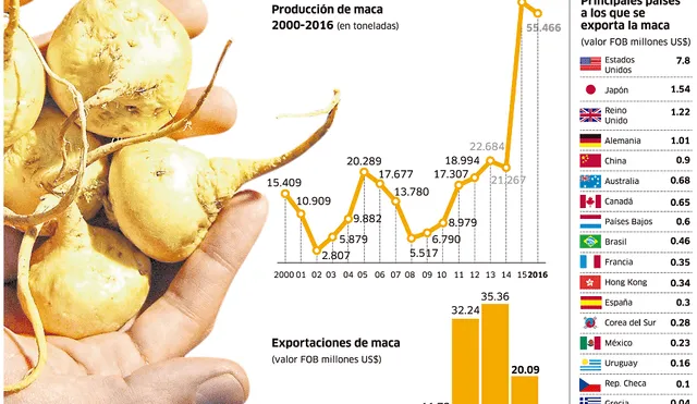 Producción y exportación de la maca peruana