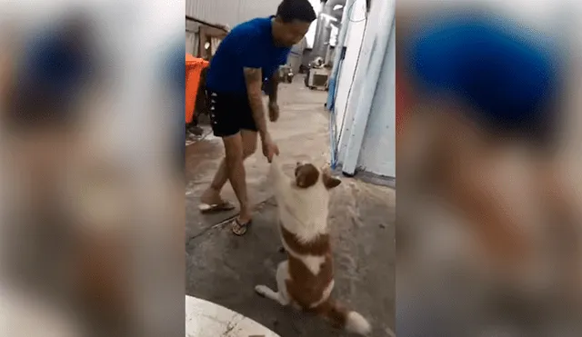 YouTube viral: perro no quiere que se dueño lo bañe y hace de todo para evitarlo