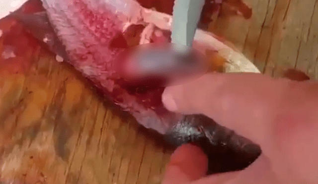 Facebook: Abre un pescado y encuentra increíble criatura en su interior [VIDEO]