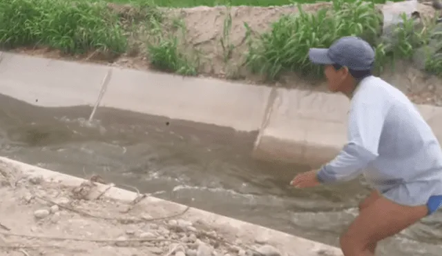 Facebook viral: perro de la calle es arrojado a acequia y valeroso peruano le salva la vida [VIDEO]