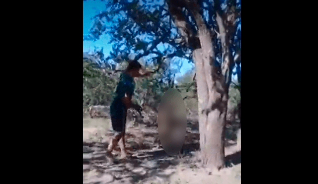 Hombre colgó a su perrita de un árbol hasta morir [VIDEO]
