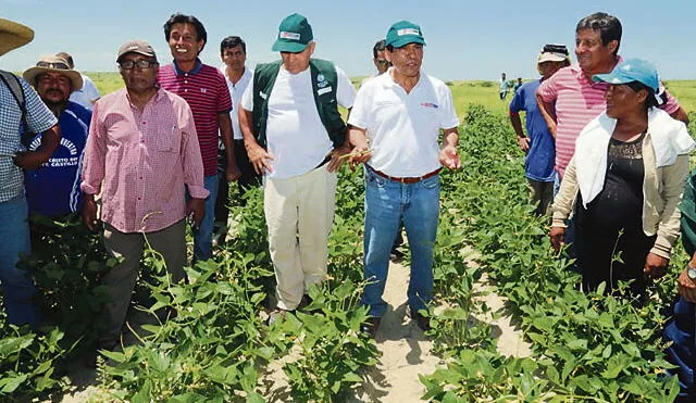 Hernández: “Rehabilitación de infraestructura agrícola en Áncash se inicia el lunes”