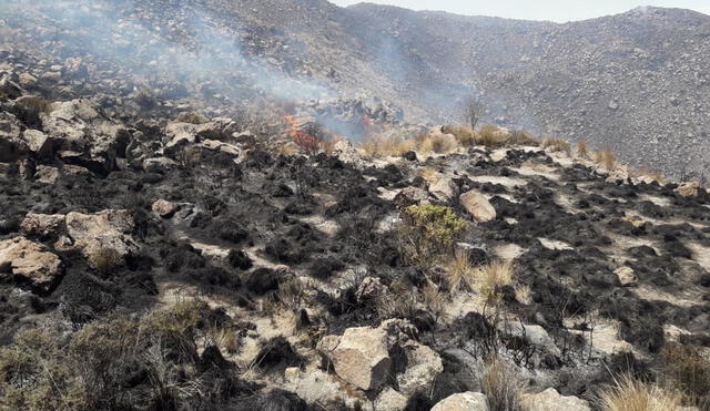La principal causa de incendios forestales es quema de residuos agrícolas. Foto: Serfor.