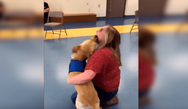 En YouTube, un perro lazarillo olvidó su entrenamiento cuando volvió a ver a su profesora, quien lo cuidó desde bebé.