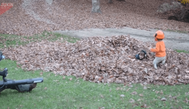 Facebook viral: jardinero descubre 'extraños bultos' enterrados entre las hojas y casi muere del susto [VIDEO] 