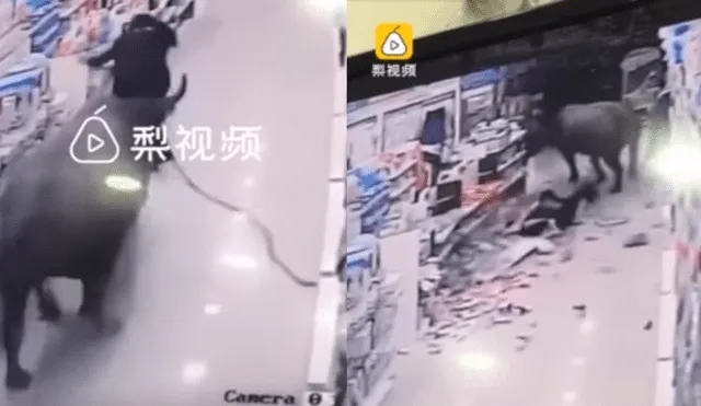 YouTube: Un búfalo atacó a una mujer embarazada en un supermercado en China [VIDEO]